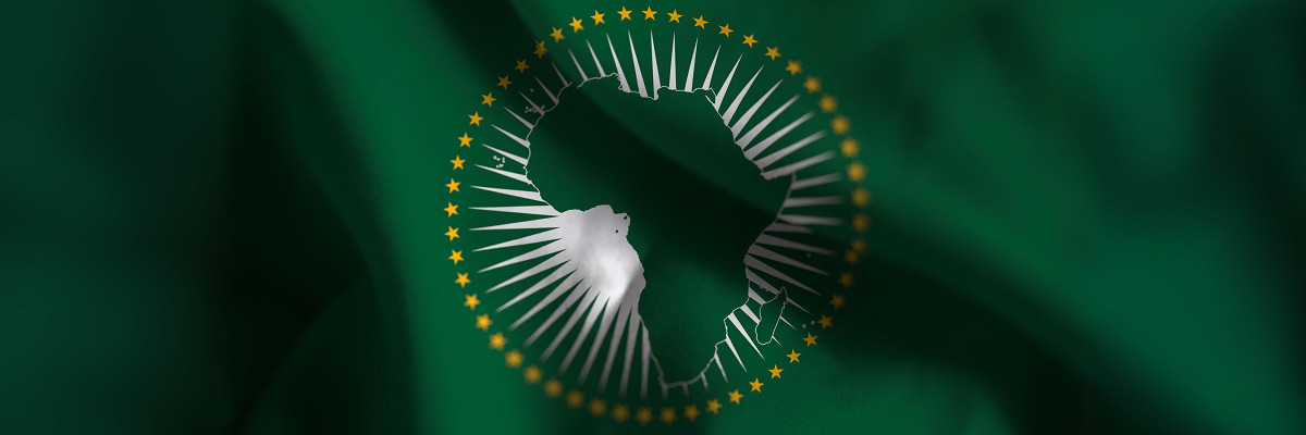 Africa Union'd weakness & problem